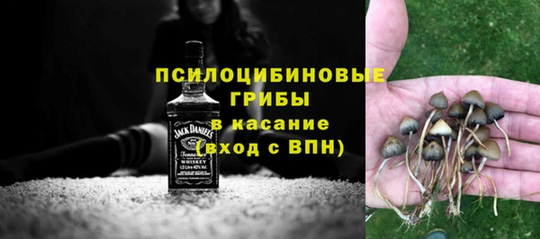 2c-b Алзамай