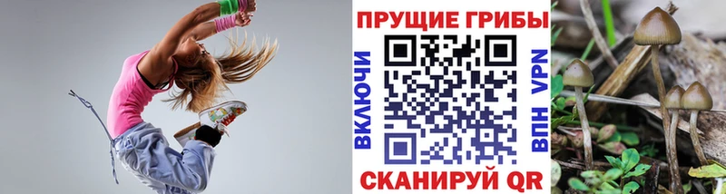 Галлюциногенные грибы Psilocybe  магазин    Заводоуковск 