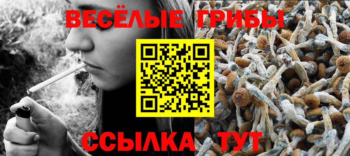 Псилоцибиновые грибы прущие грибы Заводоуковск