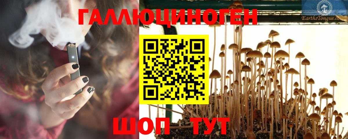 Псилоцибиновые грибы GOLDEN TEACHER  Галлюциногенные грибы GOLDEN TEACHER  Вход с VPN  Заводоуковск 