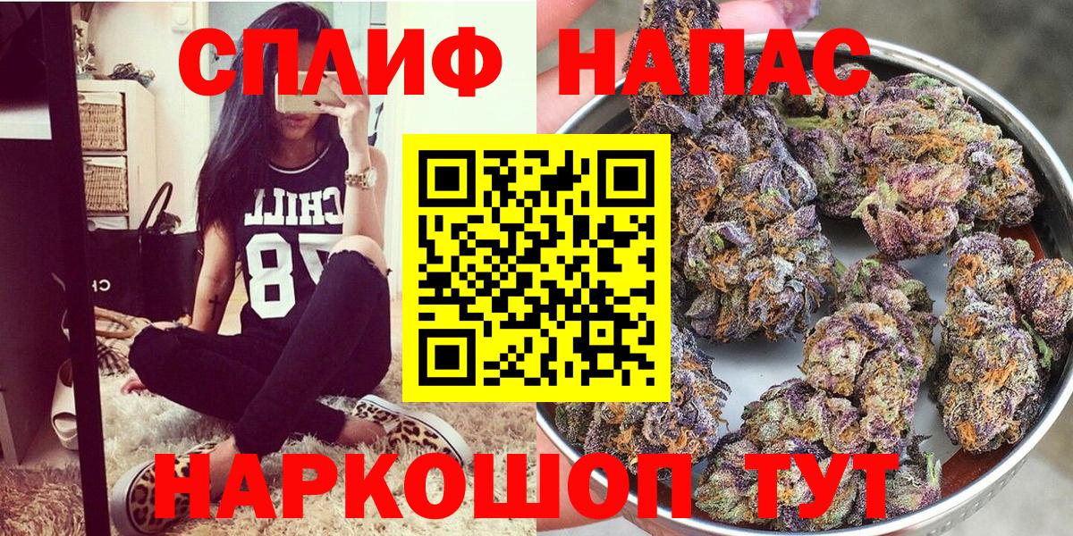 Каннабис семена  Бошки марихуана планчик  Заводоуковск  Бошки марихуана план  Вход с VPN 